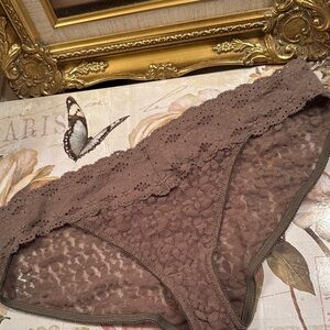Wacoal Chocolate Stretch Lace Bikini Panty -XL